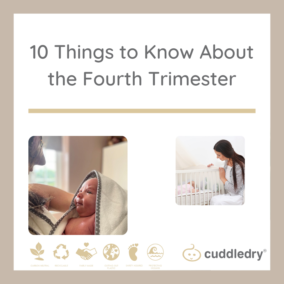 Ten things to know about the fourth trimester