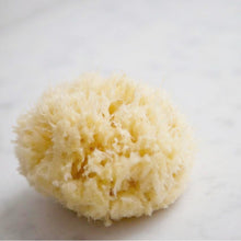 Load image into Gallery viewer, natural bath sponge 