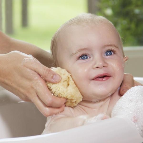 sea sponge for washing baby