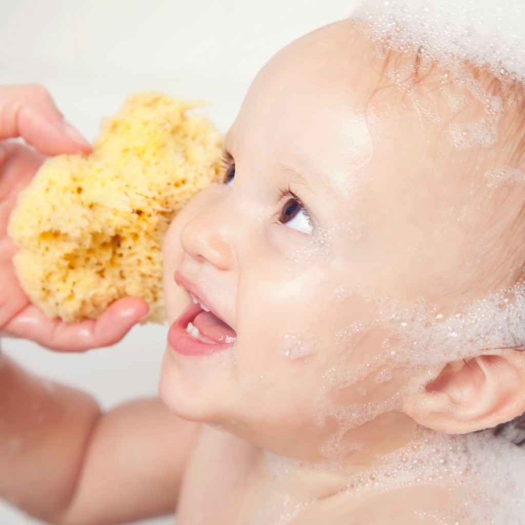 Baby Buddy Natural Baby Bath Sponge 4in Ultra Soft Premium Sea Wool Sponge  Soft on Tender Baby Skin, Biodegradable, 1pk